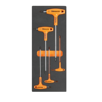 2450 M53-5 TOOLS IN SOFT THERMOFORMED